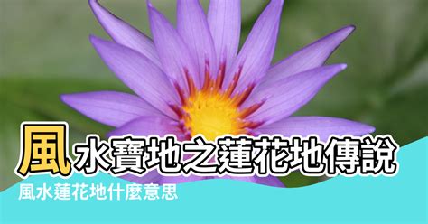 蓮花 風水